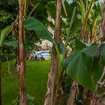 Casas Da Fraga - Serra Da Estrela Holiday home *