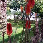 Casas Da Fraga - Serra Da Estrela *