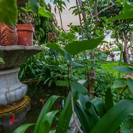 Casas Da Fraga - Serra Da Estrela