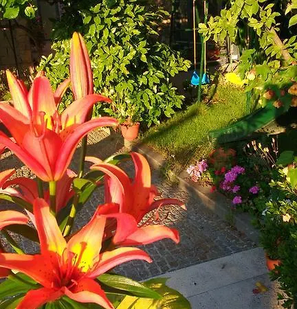 Casas Da Fraga - Serra Da Estrela