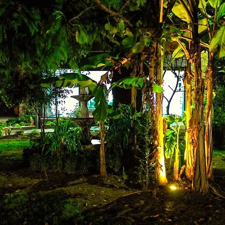 Σπίτι διακοπών Casas Da Fraga - Serra Da Estrela Fornos de Algodres