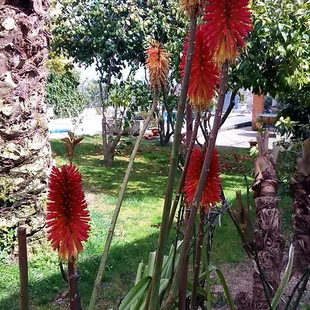 Casas Da Fraga - Serra Da Estrela *