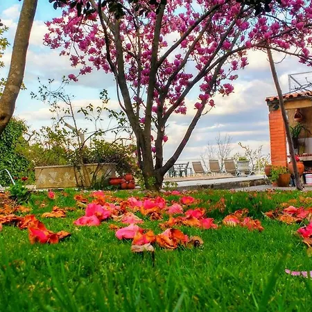 Casas Da Fraga - Serra Da Estrela Σπίτι διακοπών