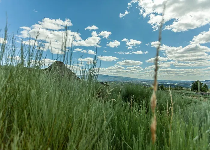 Casas Da Fraga - Serra Da Estrela * Fornos de Algodres