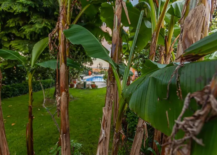 Casas Da Fraga - Serra Da Estrela Prázdninový dům *