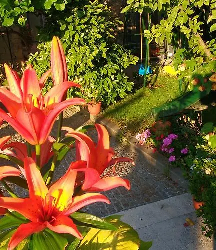 Casas Da Fraga - Serra Da Estrela