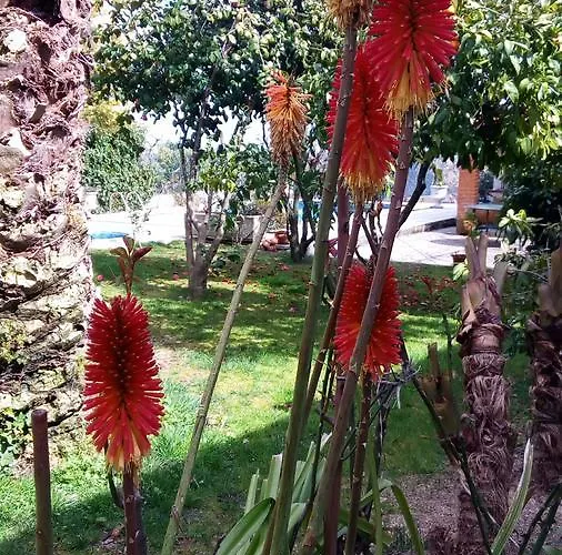 Casas Da Fraga - Serra Da Estrela *